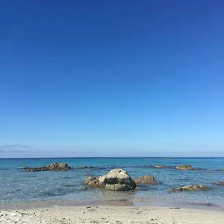 Lägenhet T3 A 2mn De La